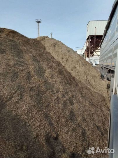 Жом свекловичный