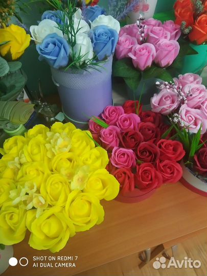 Флористика