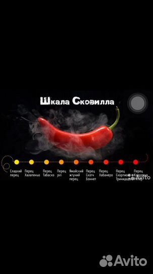 Семена супер острого перца Хабанеро Шоколад и др