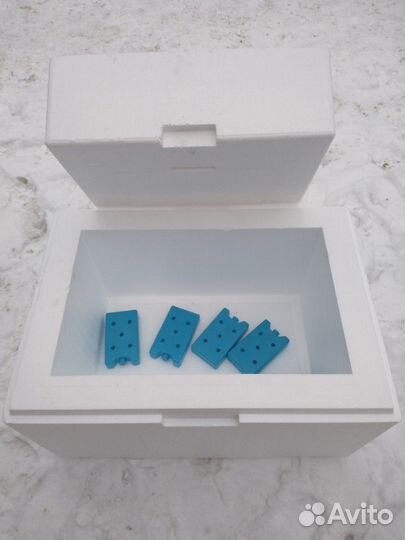 Термоконтейнер и аккумуляторы холода