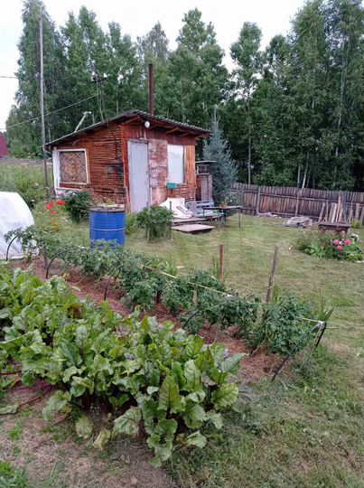 Дача 10 м² на участке 11,3 сот.