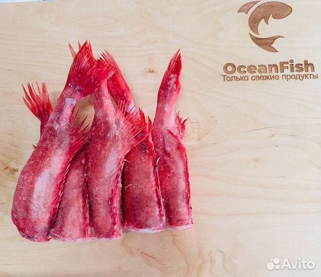 Окунь морской свежий улов