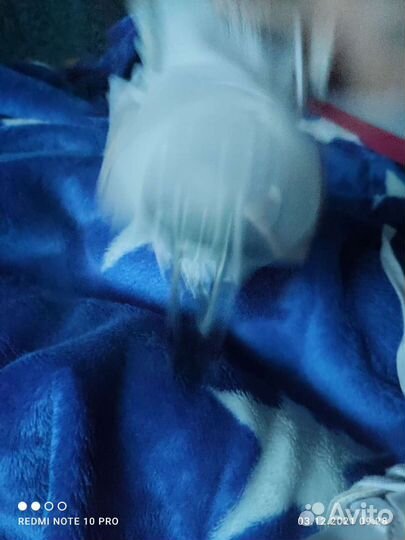 Коньки детские 29 размера