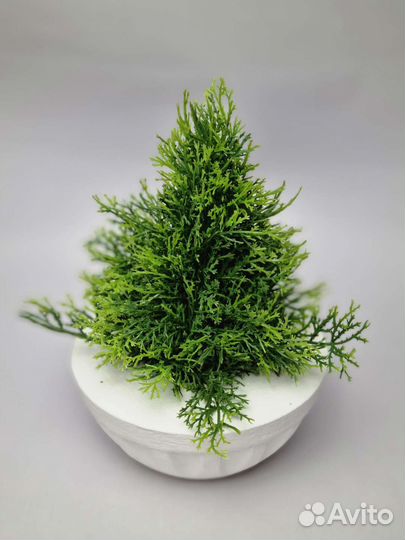Можжевельник искусственный мини