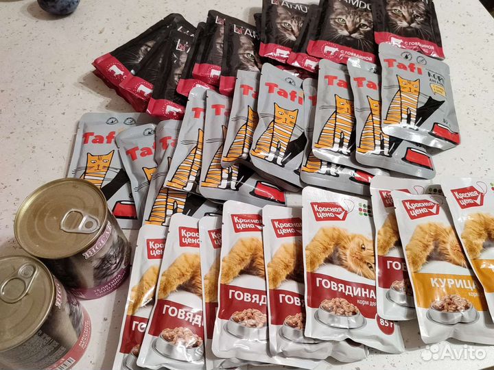 Влажный корм для кошек