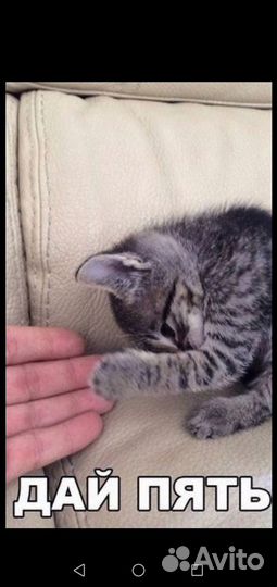 Зимние колеса r14