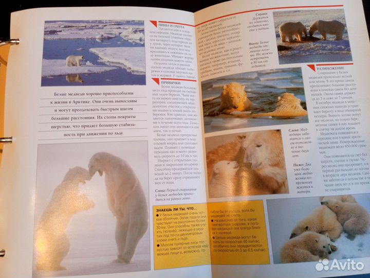 В мире дикой природы. Атлас