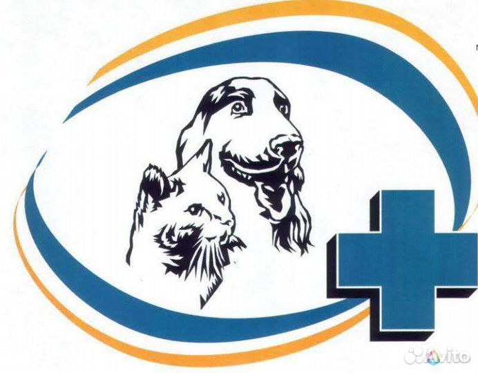 Ветеринарный врач на дом