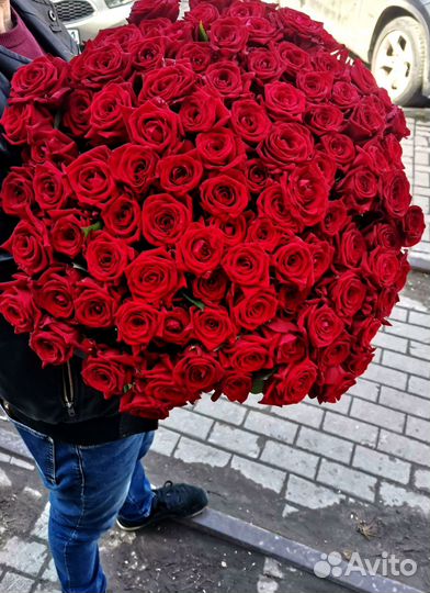 Розы, букет цветов, 101 роза. Розы опт