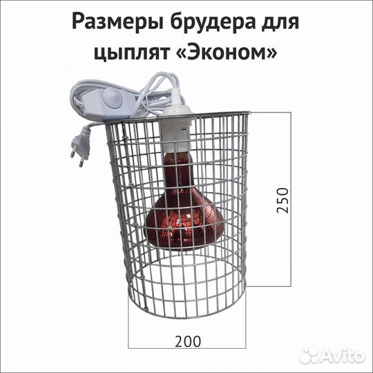 Брудер сетка для цыплят