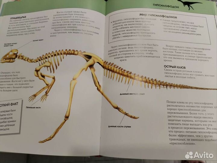 Динозавры полная энциклопедия