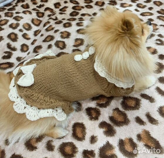 Свитерок для маленьких собак, кошек