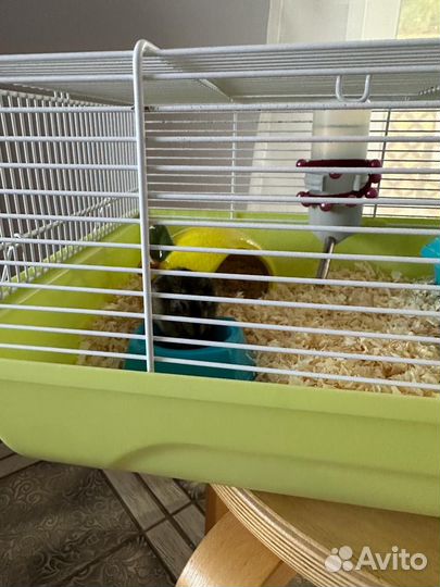 Клетка для хомяка
