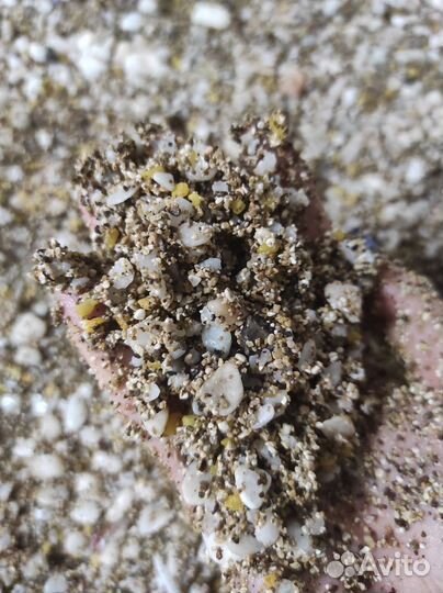 Грунт для аквариума 6 кг