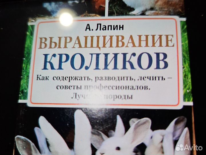 Кролики хомяки иллюстрированная энциклопедия + 1