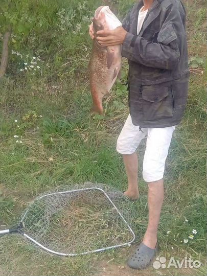Технопланктон ап