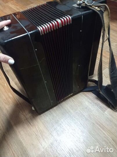 Баян тульский