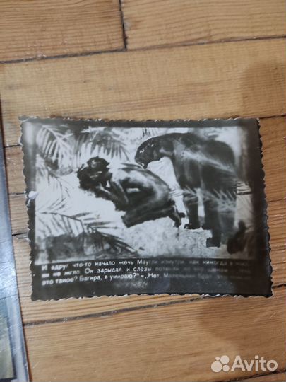 Владимир Высоцкий