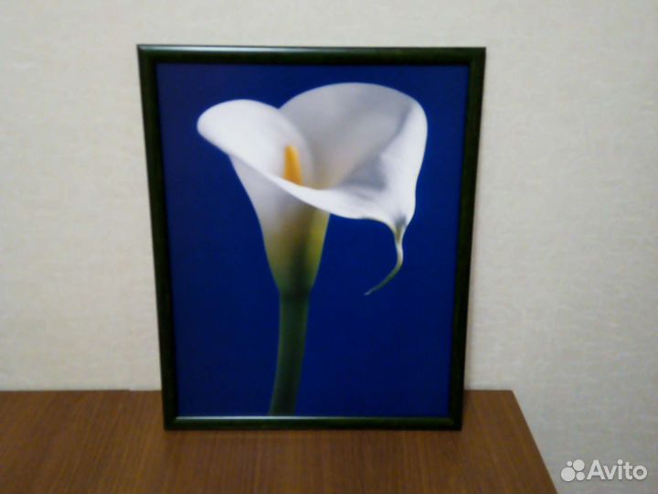 Картина новая