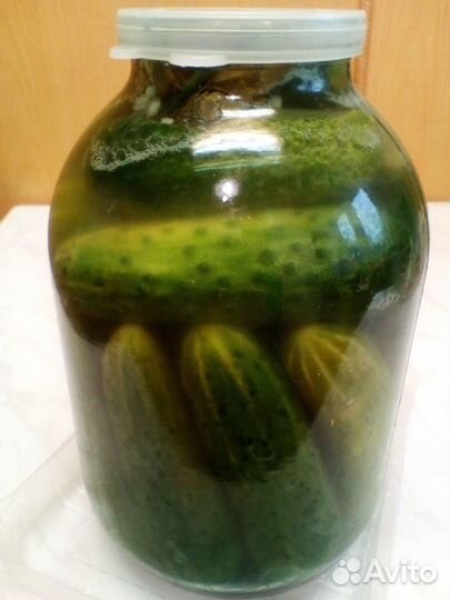 Семена тыкв россиянка и крошка