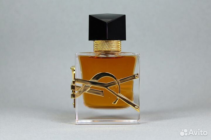 Yves Saint Laurent Libre, Dolce&Gabbana, Versace