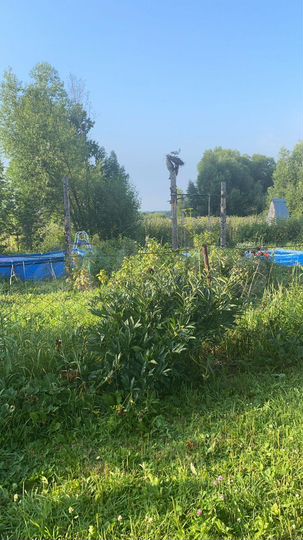 Дом 60 м² на участке 20 сот.