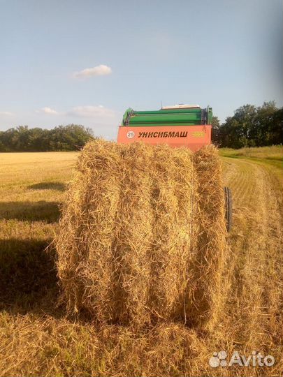 Солома ячменная в тюках