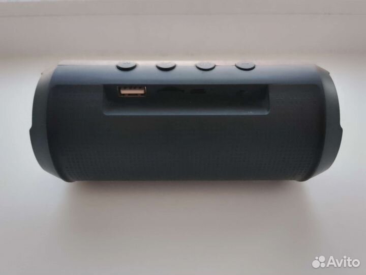 Портативная колонка SunWind SW-PS101