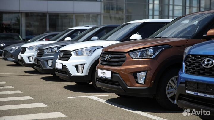 Аукционный брокер. Агент по торгам