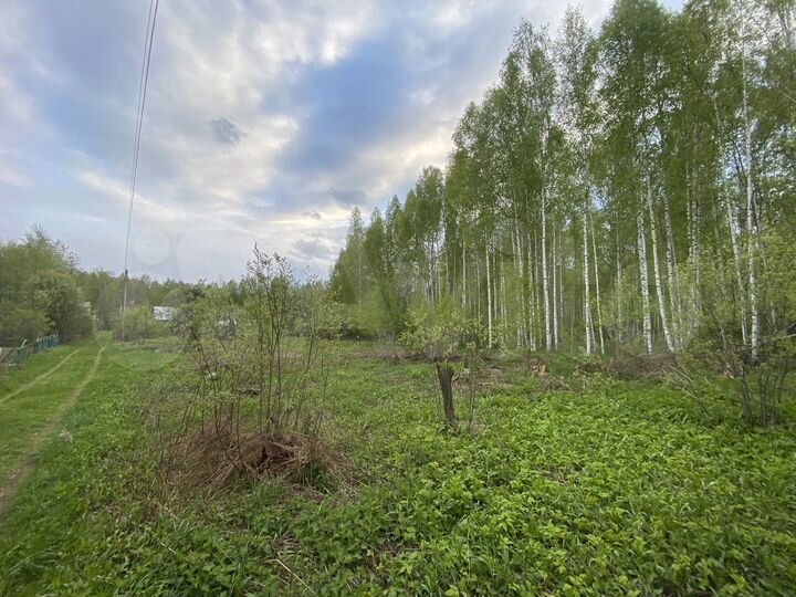 Участок 6 сот. (СНТ, ДНП)