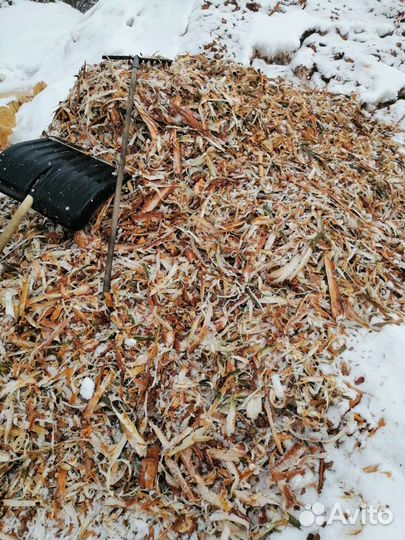 Кора сосны мульча