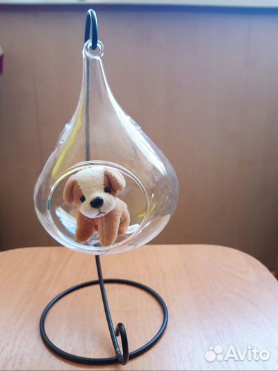 Флорариум на металлической подставке