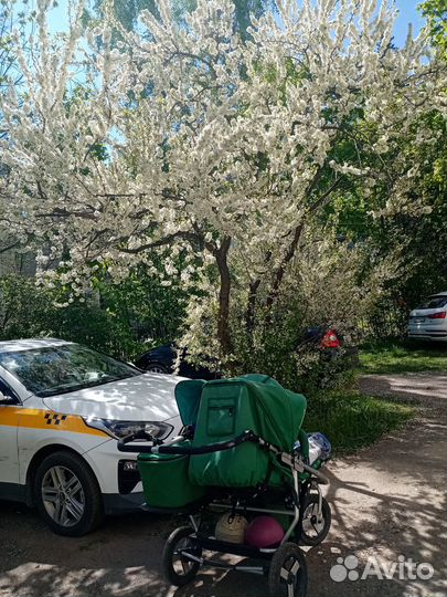 Коляска универсальная для двойни/погодок