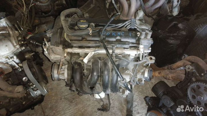 Двигатель 1,6 ford focus 1