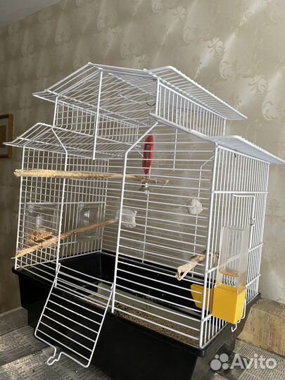 Волнистый попугай с клеткой