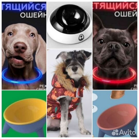 Одежда и товары для животных. Новые