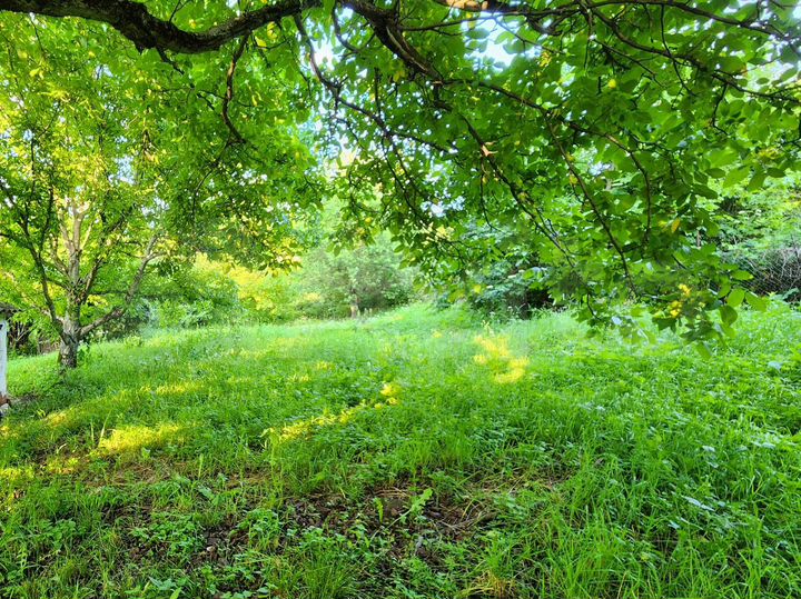 Участок 12,4 сот. (ИЖС)