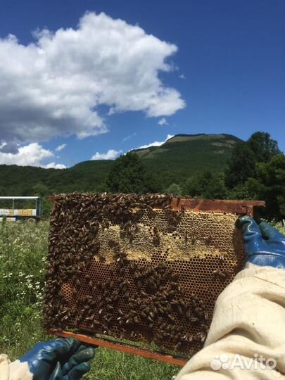 Продукты питания