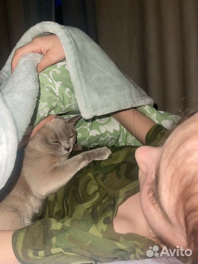 Вечернее платье в пол 42 44