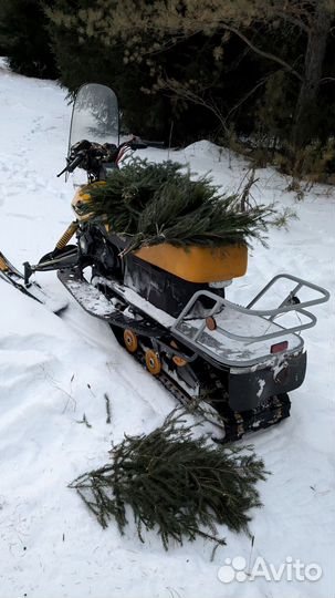 Веники пихтовые новогодние