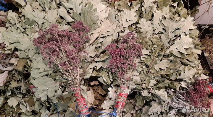 Веники дуб береза с доставкой