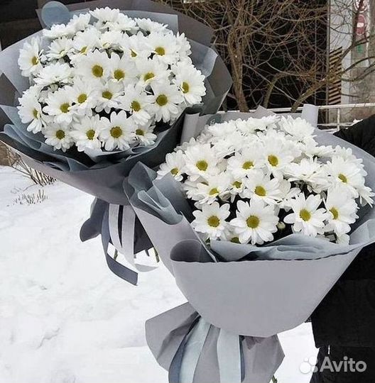 Доставка букетов и цветов. Хризантема