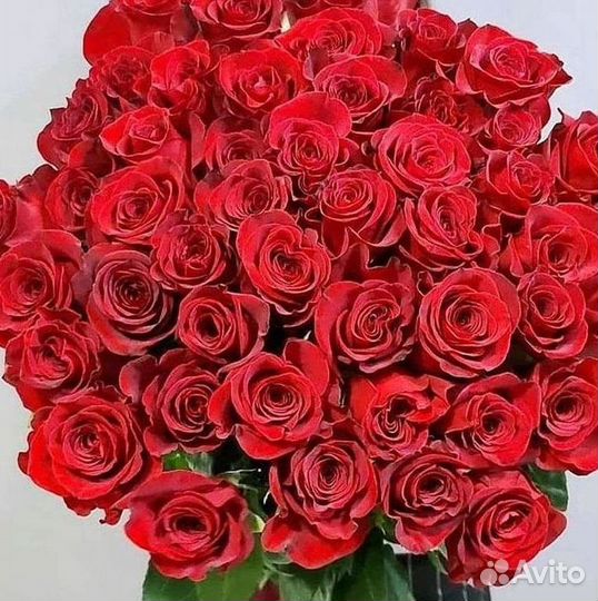 Высокие розы Букеты с доставкой