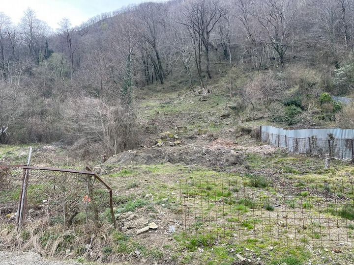 Участок 11,5 сот. (СНТ, ДНП)