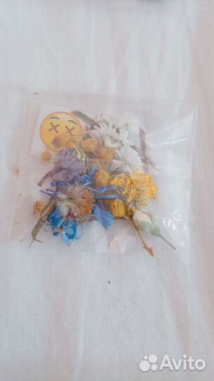 Сухоцветы для творчества