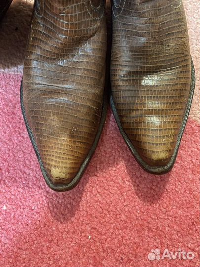 Казаки из кожи крокодила