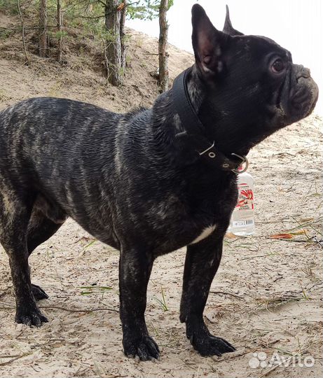 Вязка французский бульвар