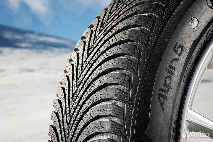 Michelin Pilot Alpin 5 315/30 R21 109V