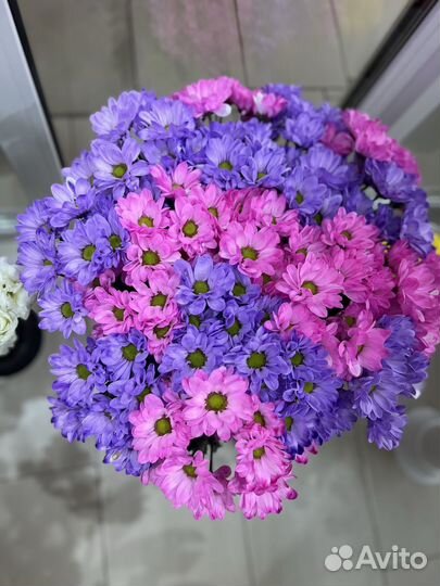 Букеты, композиции из цветов, гелиевые шары