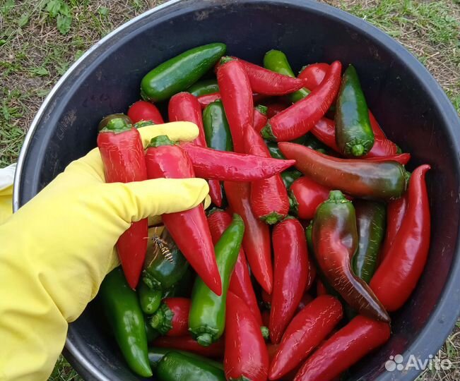 Халапеньо/кайенский маринованный/острый перец